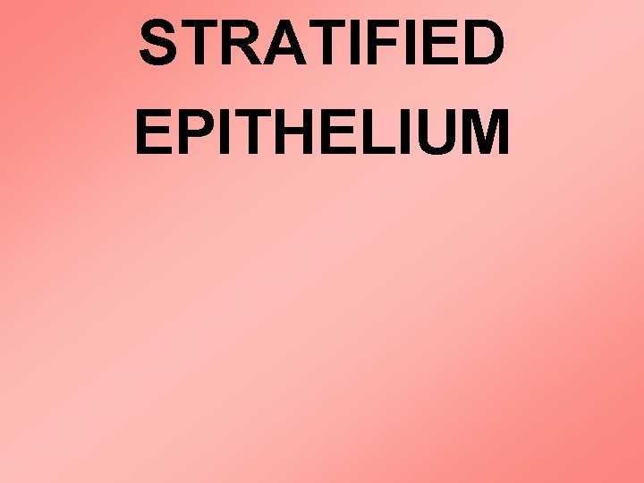 STRATIFIED EPITHELIUM 