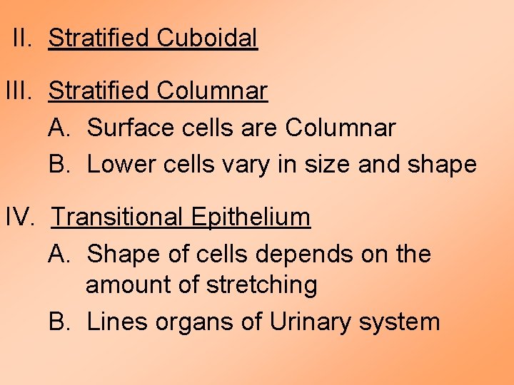 II. Stratified Cuboidal III. Stratified Columnar A. Surface cells are Columnar B. Lower cells