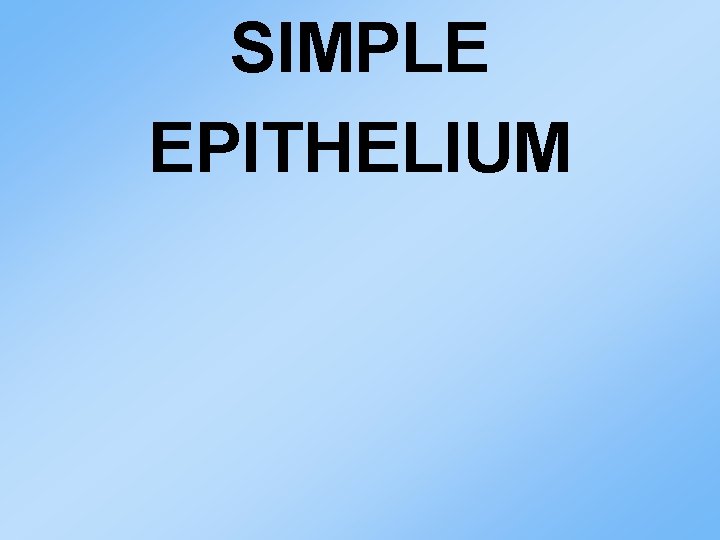 SIMPLE EPITHELIUM 