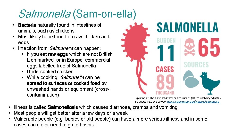 Salmonella (Sam-on-ella) • Bacteria naturally found in intestines of animals, such as chickens •