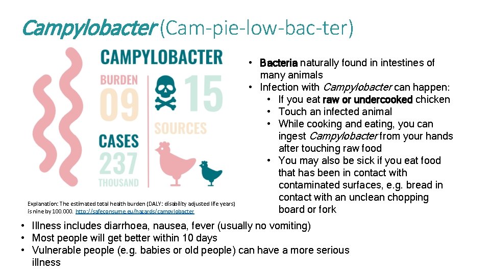 Campylobacter (Cam-pie-low-bac-ter) Explanation: The estimated total health burden (DALY: disability adjusted life years) is