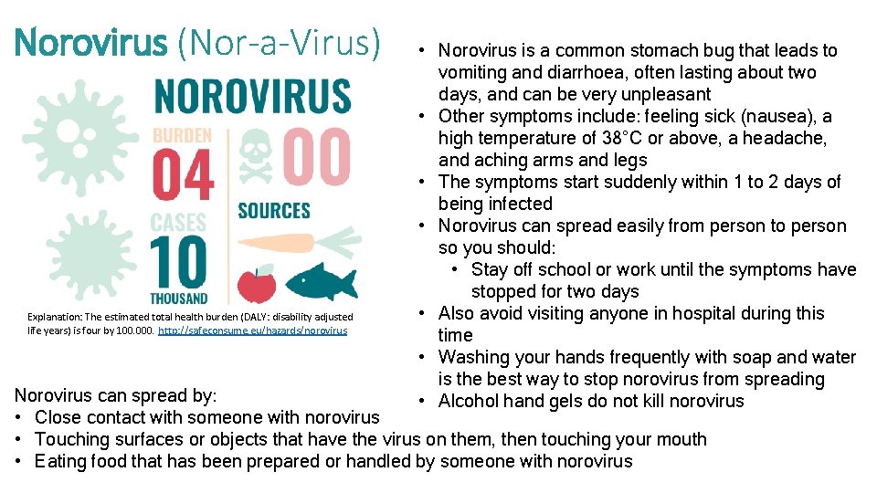Norovirus (Nor-a-Virus) Explanation: The estimated total health burden (DALY: disability adjusted life years) is