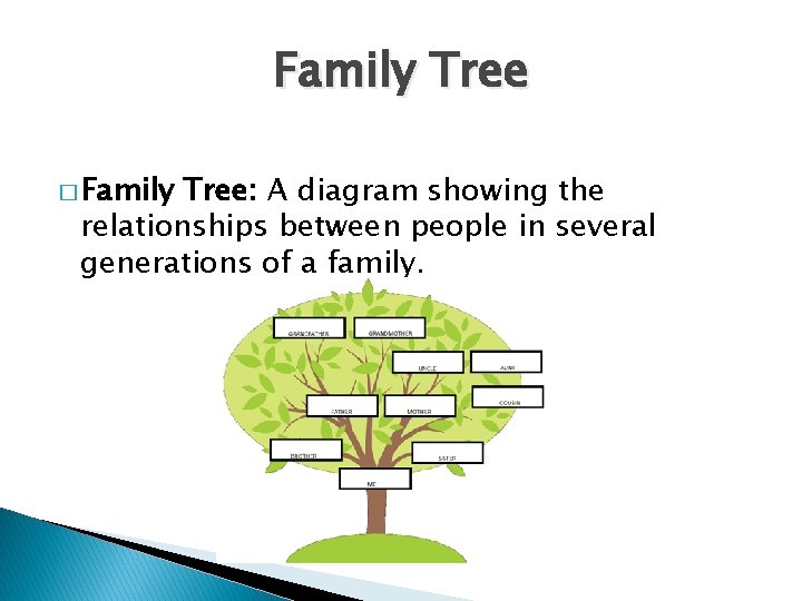 Family Tree � Family Tree: A diagram showing the relationships between people in several