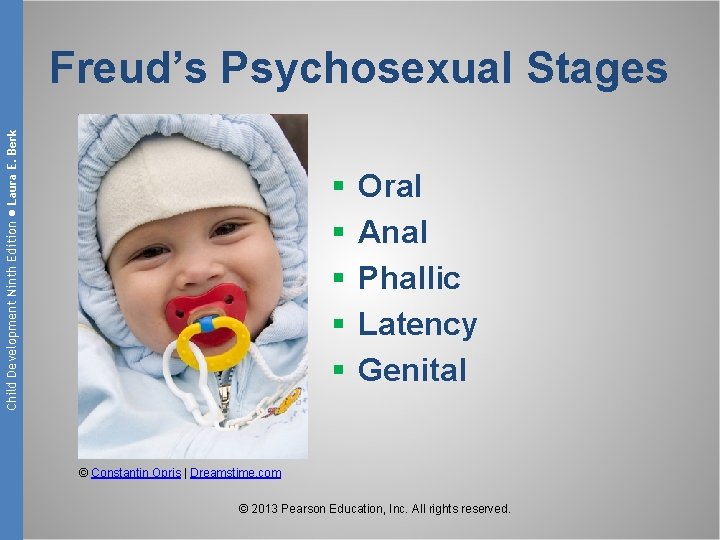 Child Development Ninth Edition ● Laura E. Berk Freud’s Psychosexual Stages § § §