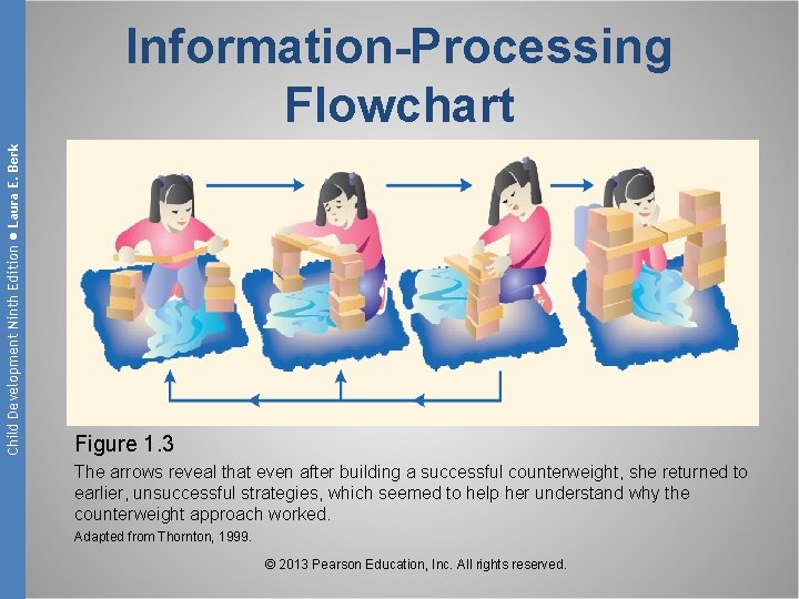 Child Development Ninth Edition ● Laura E. Berk Information-Processing Flowchart Figure 1. 3 The