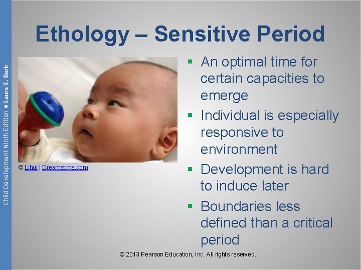 Child Development Ninth Edition ● Laura E. Berk Ethology – Sensitive Period © Lihui