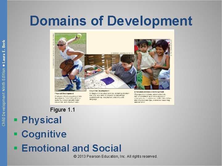 Child Development Ninth Edition ● Laura E. Berk Domains of Development Figure 1. 1