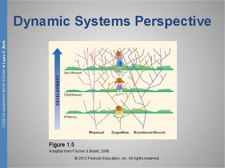 Child Development Ninth Edition ● Laura E. Berk Dynamic Systems Perspective Figure 1. 5