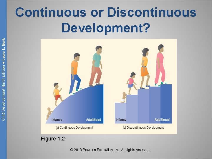 Child Development Ninth Edition ● Laura E. Berk Continuous or Discontinuous Development? Figure 1.