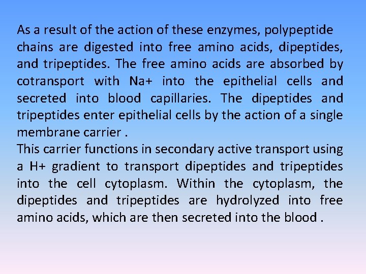 As a result of the action of these enzymes, polypeptide chains are digested into