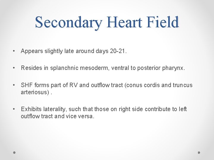 Secondary Heart Field • Appears slightly late around days 20 -21. • Resides in
