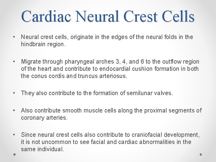 Cardiac Neural Crest Cells • Neural crest cells, originate in the edges of the