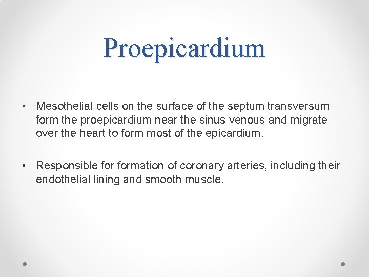 Proepicardium • Mesothelial cells on the surface of the septum transversum form the proepicardium