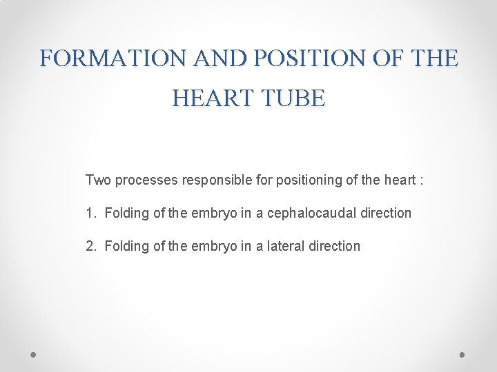 FORMATION AND POSITION OF THE HEART TUBE Two processes responsible for positioning of the
