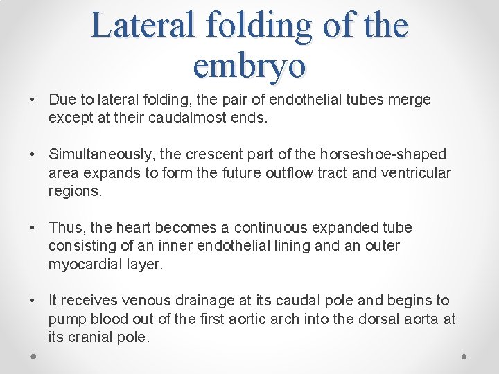 Lateral folding of the embryo • Due to lateral folding, the pair of endothelial