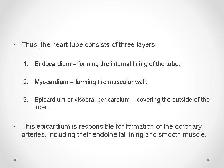  • Thus, the heart tube consists of three layers: 1. Endocardium – forming