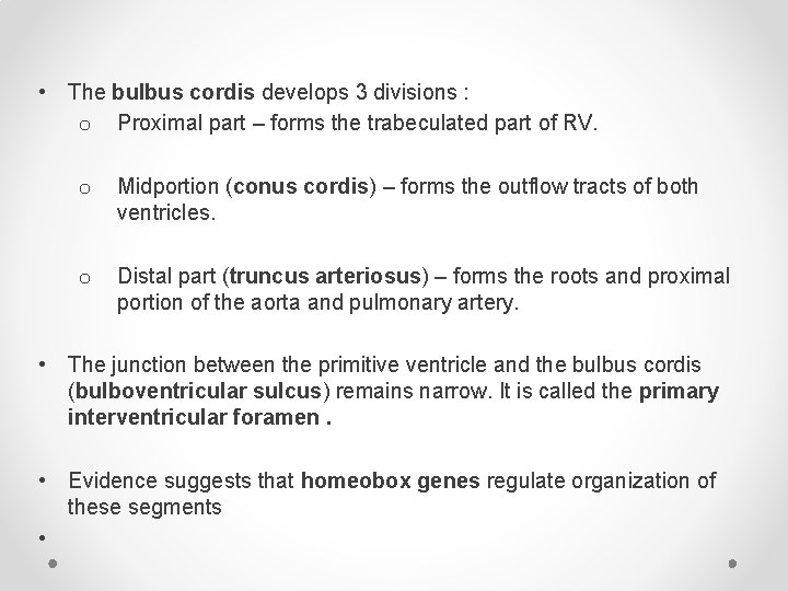  • The bulbus cordis develops 3 divisions : o Proximal part – forms