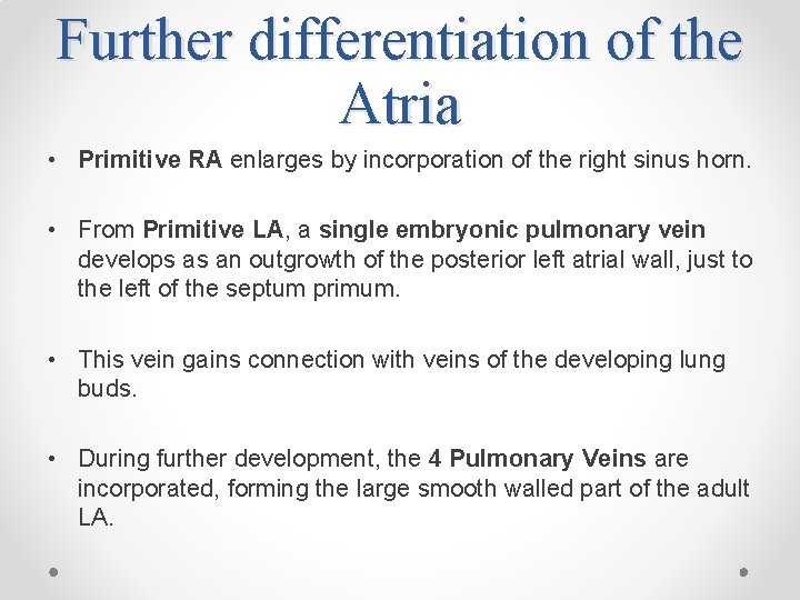 Further differentiation of the Atria • Primitive RA enlarges by incorporation of the right