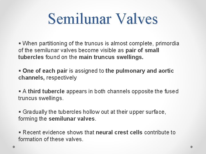 Semilunar Valves § When partitioning of the truncus is almost complete, primordia of the