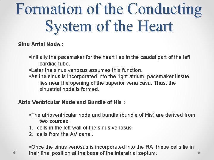 Formation of the Conducting System of the Heart Sinu Atrial Node : §Initially the