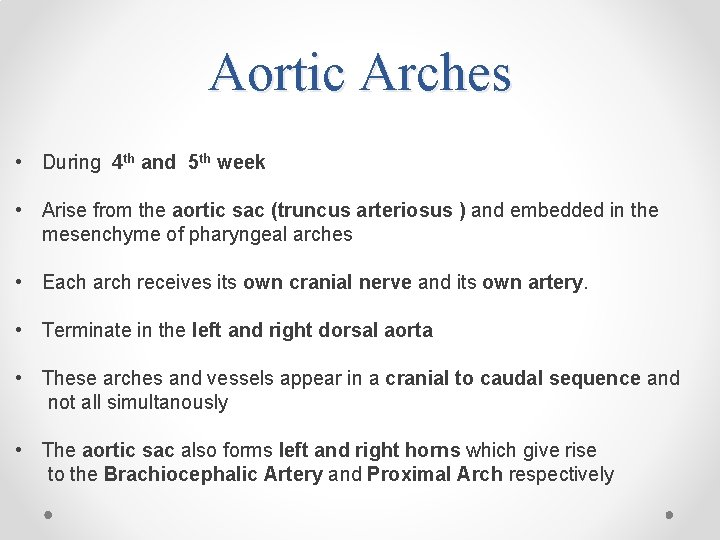 Aortic Arches • During 4 th and 5 th week • Arise from the