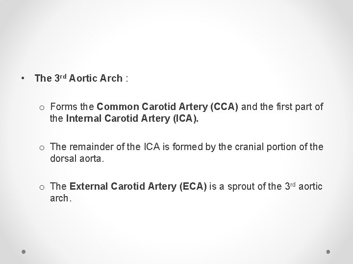  • The 3 rd Aortic Arch : o Forms the Common Carotid Artery