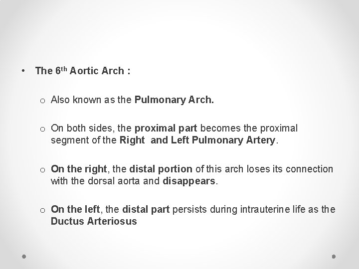  • The 6 th Aortic Arch : o Also known as the Pulmonary