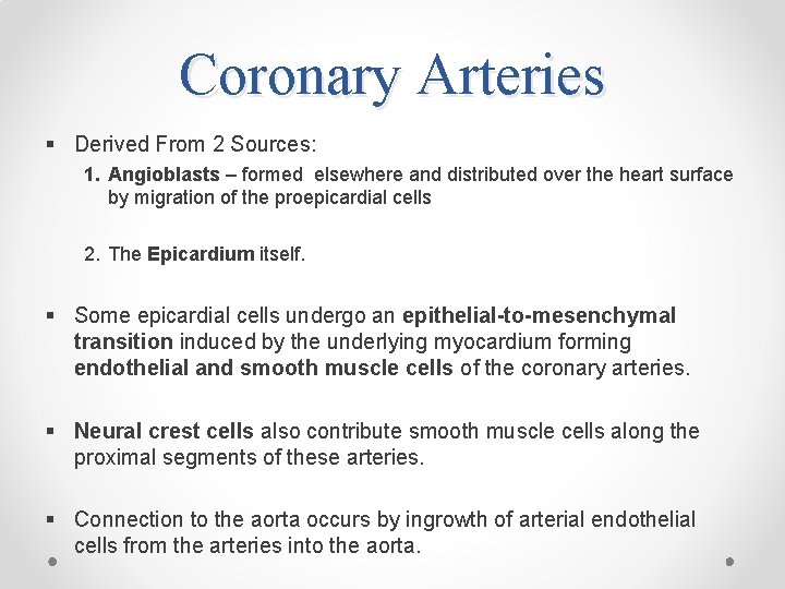 Coronary Arteries § Derived From 2 Sources: 1. Angioblasts – formed elsewhere and distributed