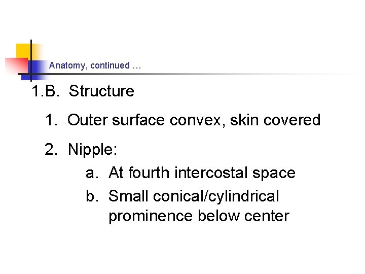 Anatomy, continued … 1. B. Structure 1. Outer surface convex, skin covered 2. Nipple: