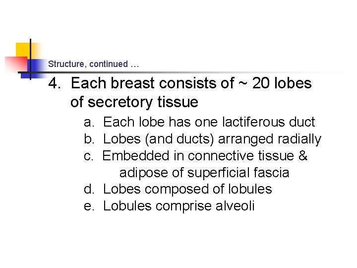 Structure, continued … 4. Each breast consists of ~ 20 lobes of secretory tissue