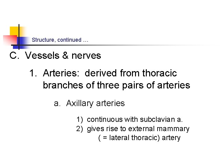 Structure, continued … C. Vessels & nerves 1. Arteries: derived from thoracic branches of