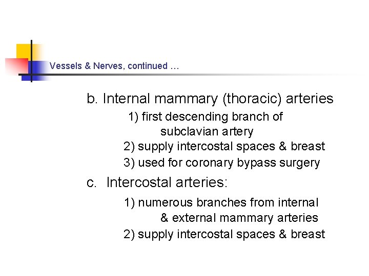 Vessels & Nerves, continued … b. Internal mammary (thoracic) arteries 1) first descending branch