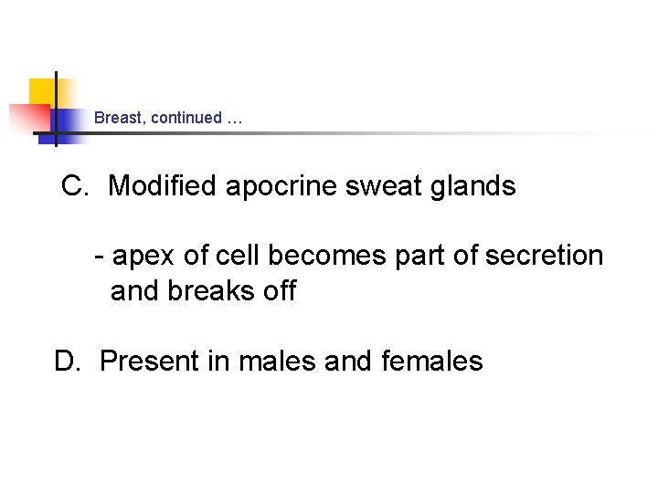 Breast, continued … C. Modified apocrine sweat glands - apex of cell becomes part