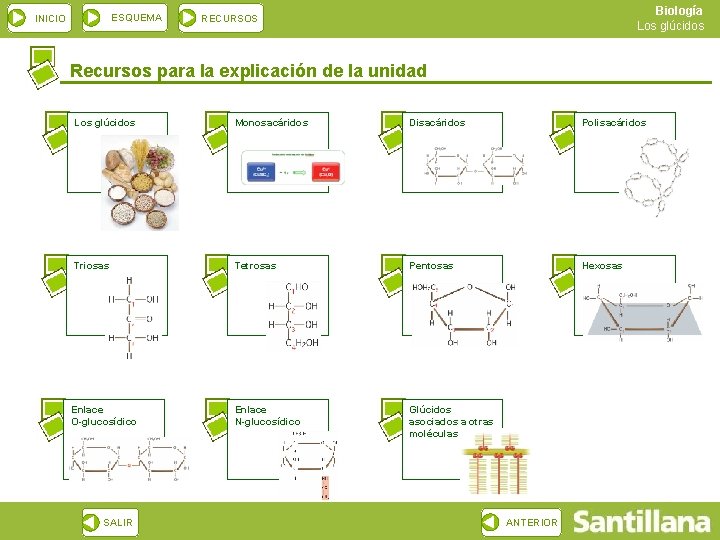 ESQUEMA INICIO Biología Los glúcidos RECURSOS Recursos para la explicación de la unidad Los