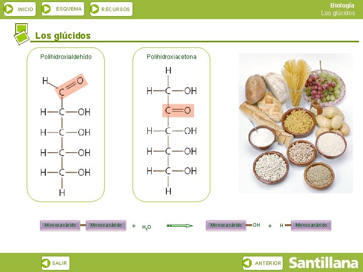 INICIO ESQUEMA Biología Los glúcidos RECURSOS Los glúcidos Polihidroxialdehído Monosacárido SALIR Monosacárido Polihidroxiacetona +