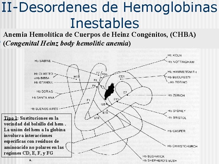 II-Desordenes de Hemoglobinas Inestables Anemia Hemolítica de Cuerpos de Heinz Congénitos, (CHBA) (Congenital Heinz