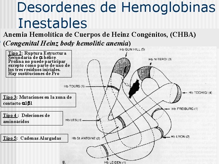 Desordenes de Hemoglobinas Inestables Anemia Hemolítica de Cuerpos de Heinz Congénitos, (CHBA) (Congenital Heinz