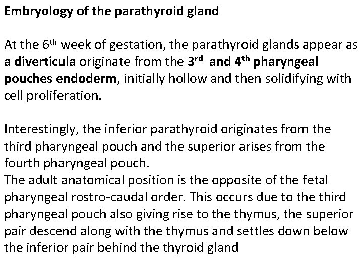 Embryology of the parathyroid gland At the 6 th week of gestation, the parathyroid