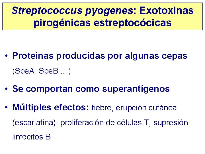 Streptococcus pyogenes: Exotoxinas pirogénicas estreptocócicas • Proteinas producidas por algunas cepas (Spe. A, Spe.