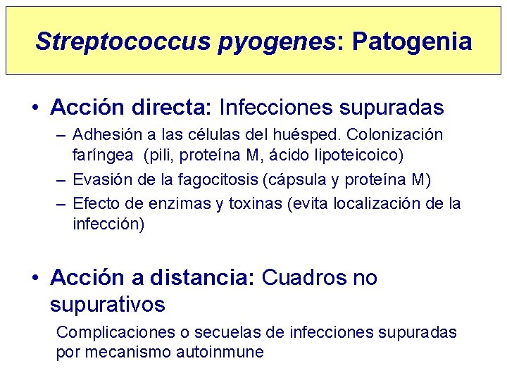 Streptococcus pyogenes: Patogenia • Acción directa: Infecciones supuradas – Adhesión a las células del