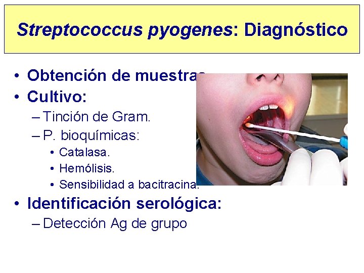 Streptococcus pyogenes: Diagnóstico • Obtención de muestras • Cultivo: – Tinción de Gram. –