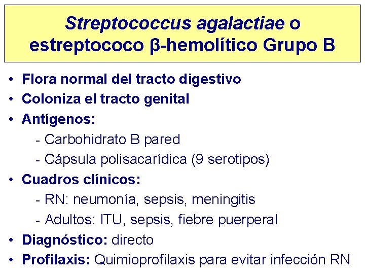 Streptococcus agalactiae o estreptococo β-hemolítico Grupo B • Flora normal del tracto digestivo •