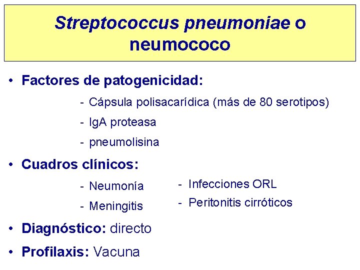 Streptococcus pneumoniae o neumococo • Factores de patogenicidad: - Cápsula polisacarídica (más de 80