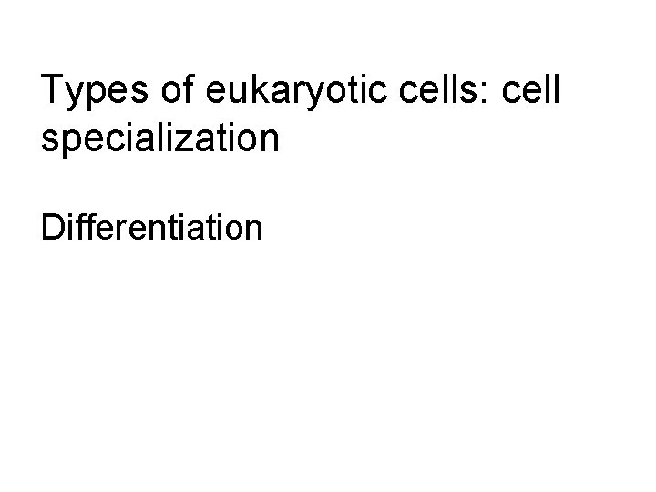 Types of eukaryotic cells: cell specialization Differentiation 