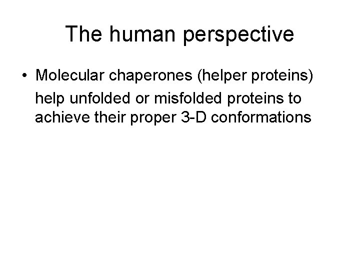 The human perspective • Molecular chaperones (helper proteins) help unfolded or misfolded proteins to