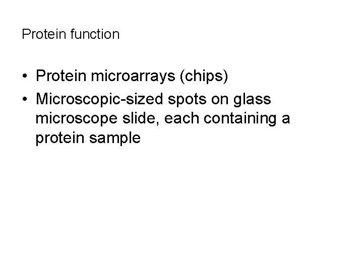Protein function • Protein microarrays (chips) • Microscopic-sized spots on glass microscope slide, each