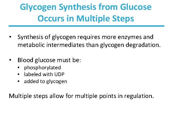Glycogen Synthesis from Glucose Occurs in Multiple Steps • Synthesis of glycogen requires more