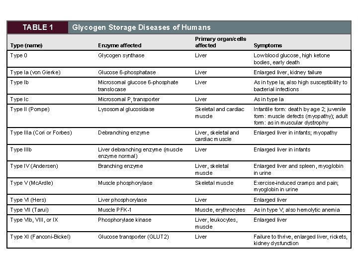 TABLE 1 Glycogen Storage Diseases of Humans Type (name) Enzyme affected Primary organ/cells affected