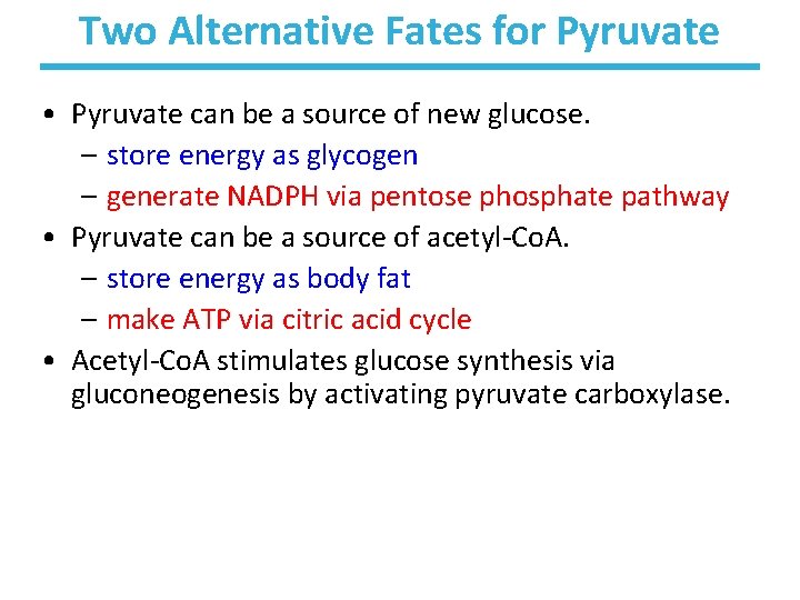Two Alternative Fates for Pyruvate • Pyruvate can be a source of new glucose.