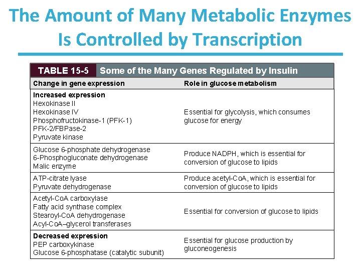 The Amount of Many Metabolic Enzymes Is Controlled by Transcription TABLE 15 -5 Some